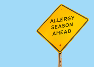 Common allergies explained